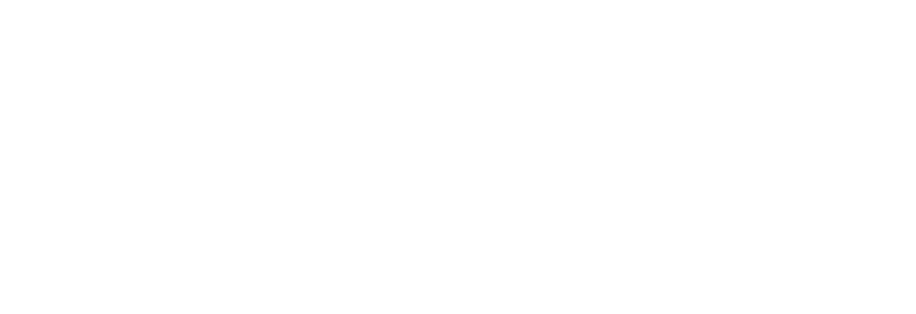 BRONZE WING AUSTRALIA